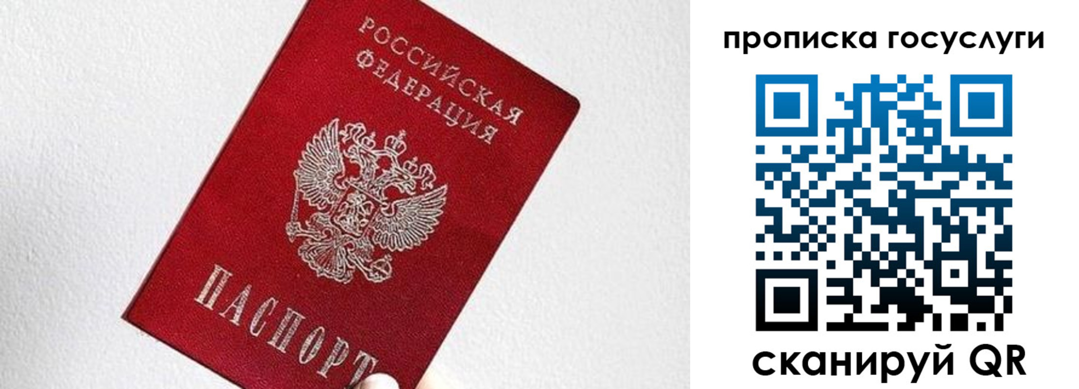 прописка законно в Зеленогорске